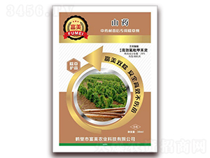 ɽˎ��ˎ�ĳ��݄�-���� 