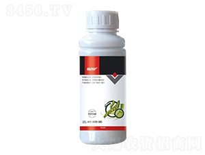 5%���S����-�ΰ��o(h��) 