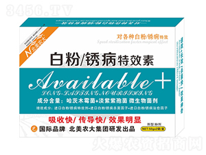 �׷����P����Ч��-�����r(n��ng)��