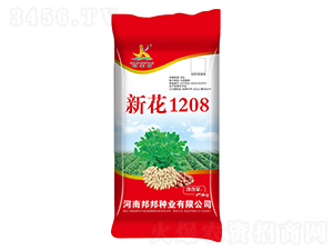 �»�1208�����N��-���S�@-���N�I(y��)