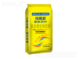 �����p�a�ͺ�΢�������-��˹��-����ɭ