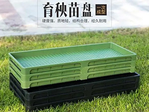 �������P-�x�h(yu��n)�Ƽ�