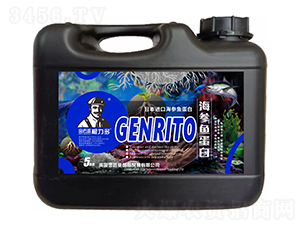 �ձ��M�ں����~����-������-����