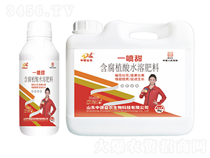 ����ֲ��ˮ�ܷ���-һ����-�ƹ�ʯ